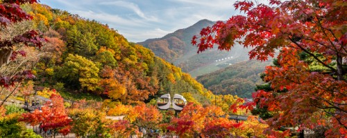 화담숲